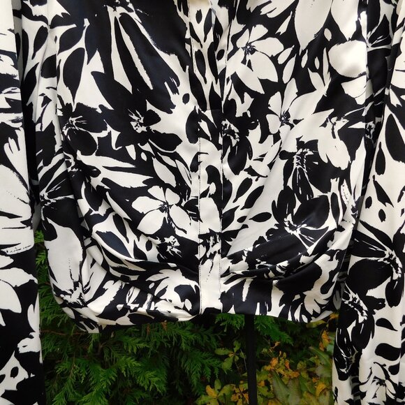 Rachel Zoe Collared Plunging VNeck Pleated Crop Blouse - Picture 3 of 4